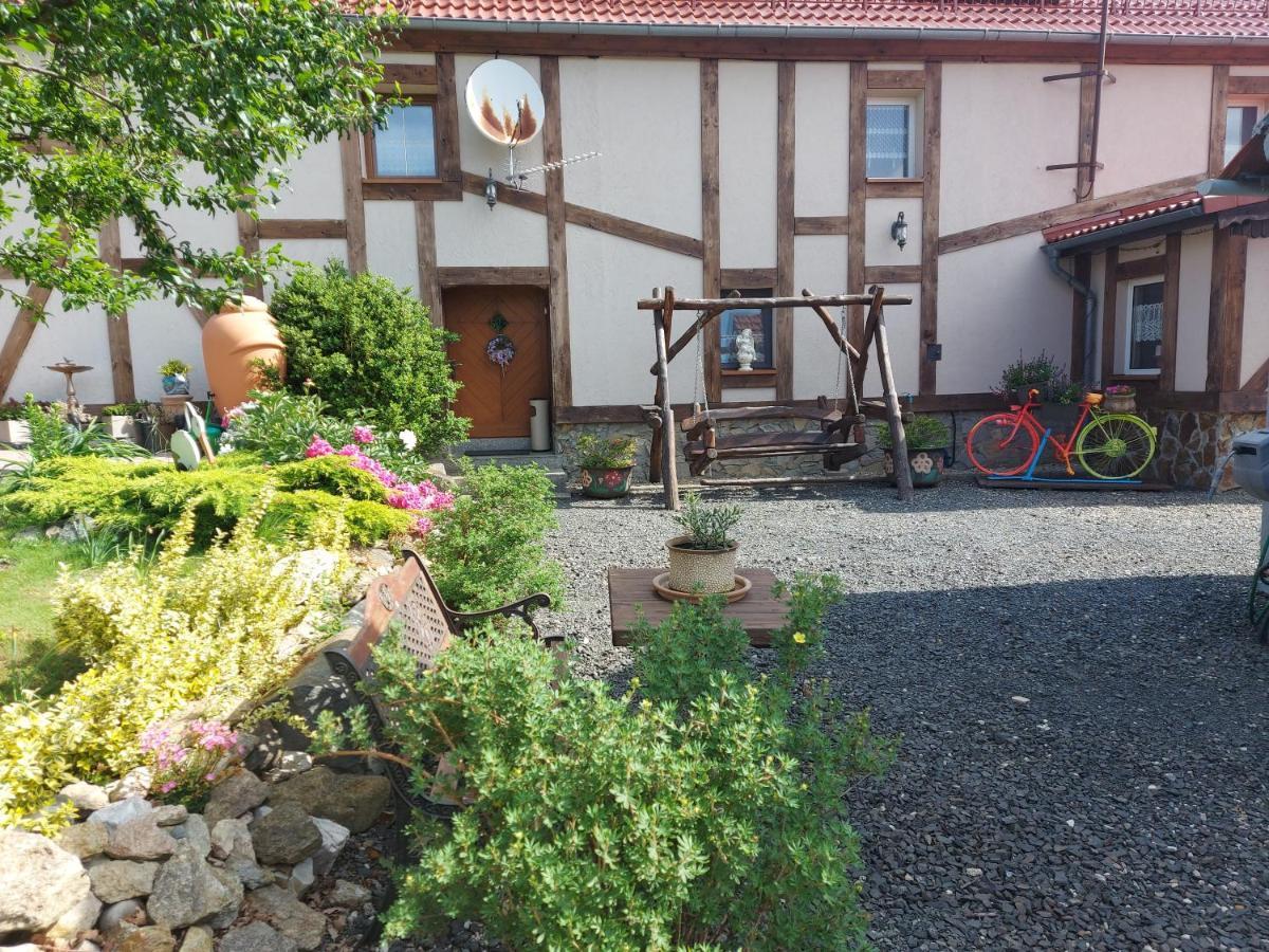 Appartamento Zacisze 13 Leśna Esterno foto
