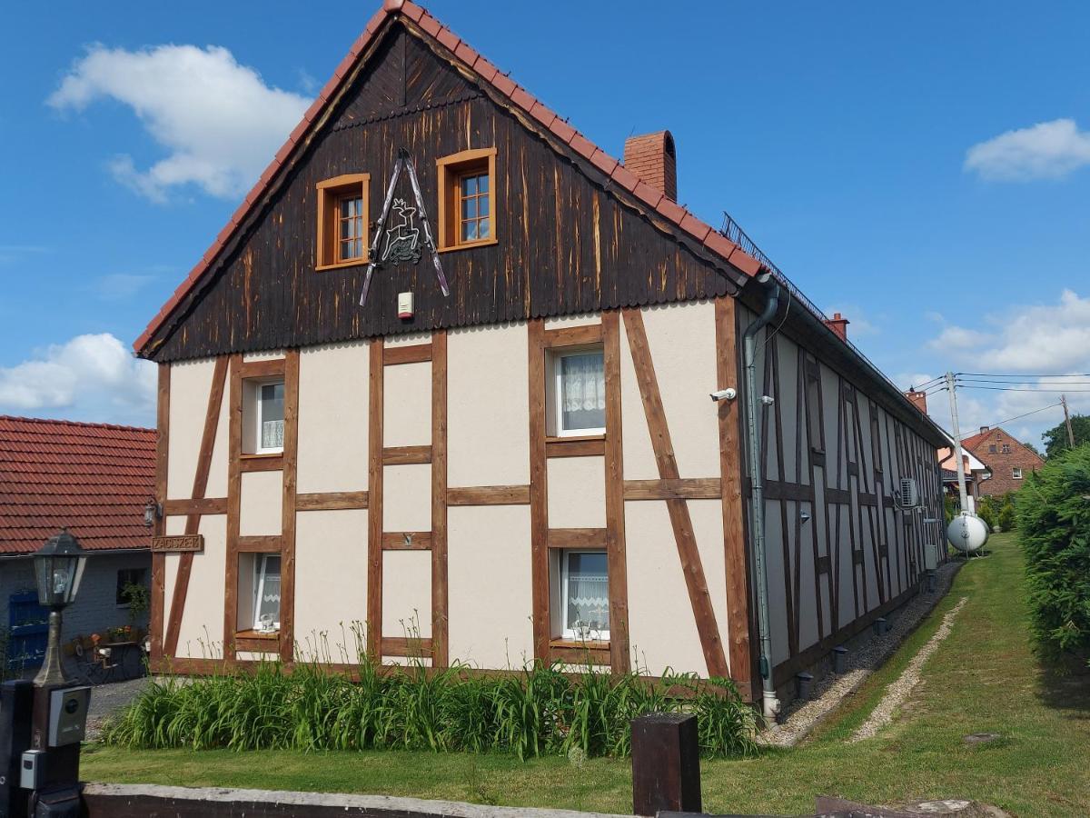 Appartamento Zacisze 13 Leśna Esterno foto